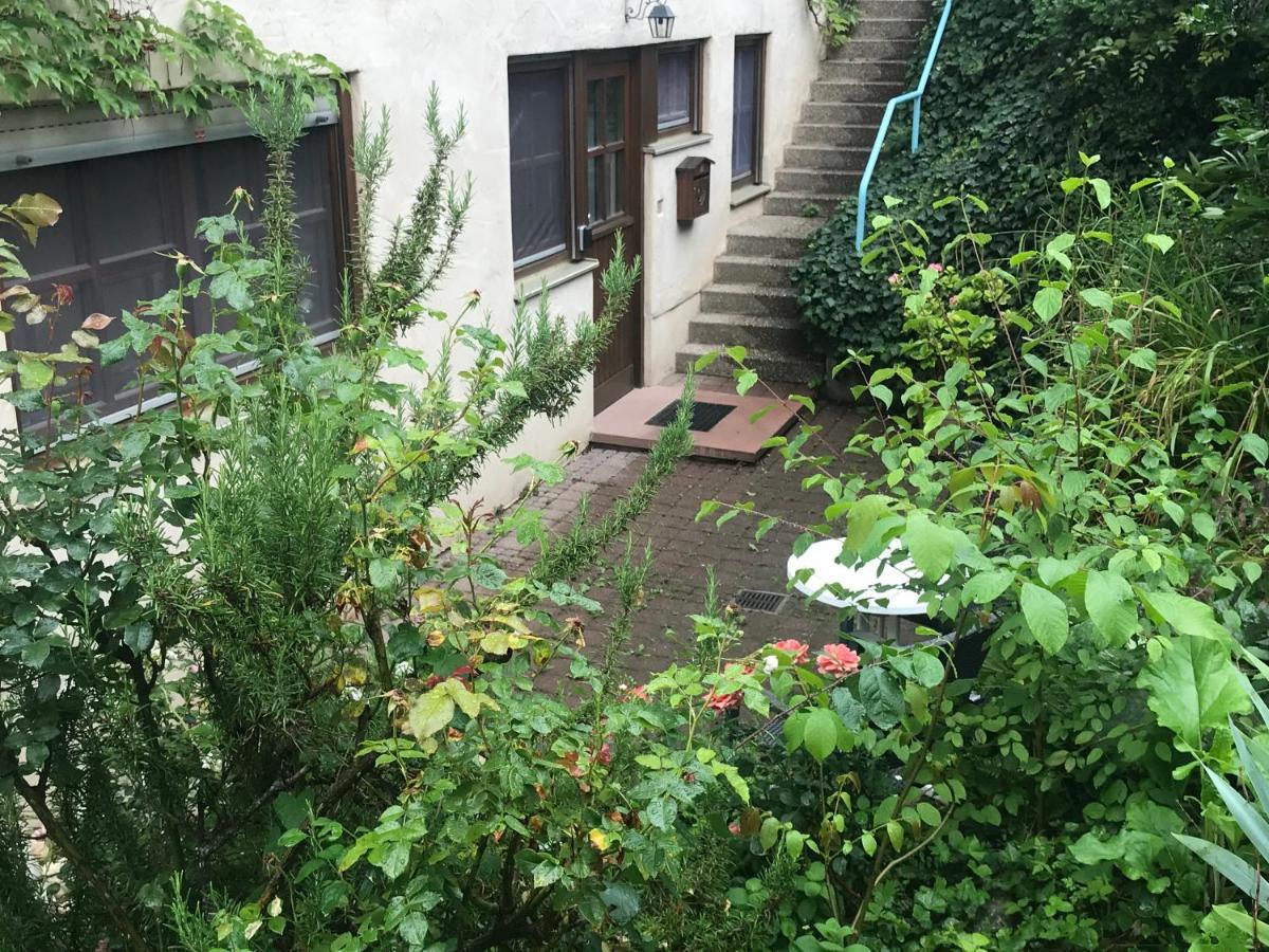 Gartenwohnung Гундельфинген Экстерьер фото